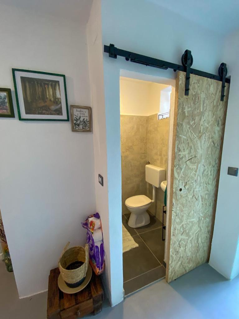 Kaleta Apartman Kali Buitenkant foto